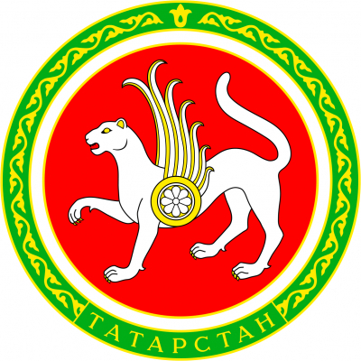 Министерство здравоохранения Республики Татарстани